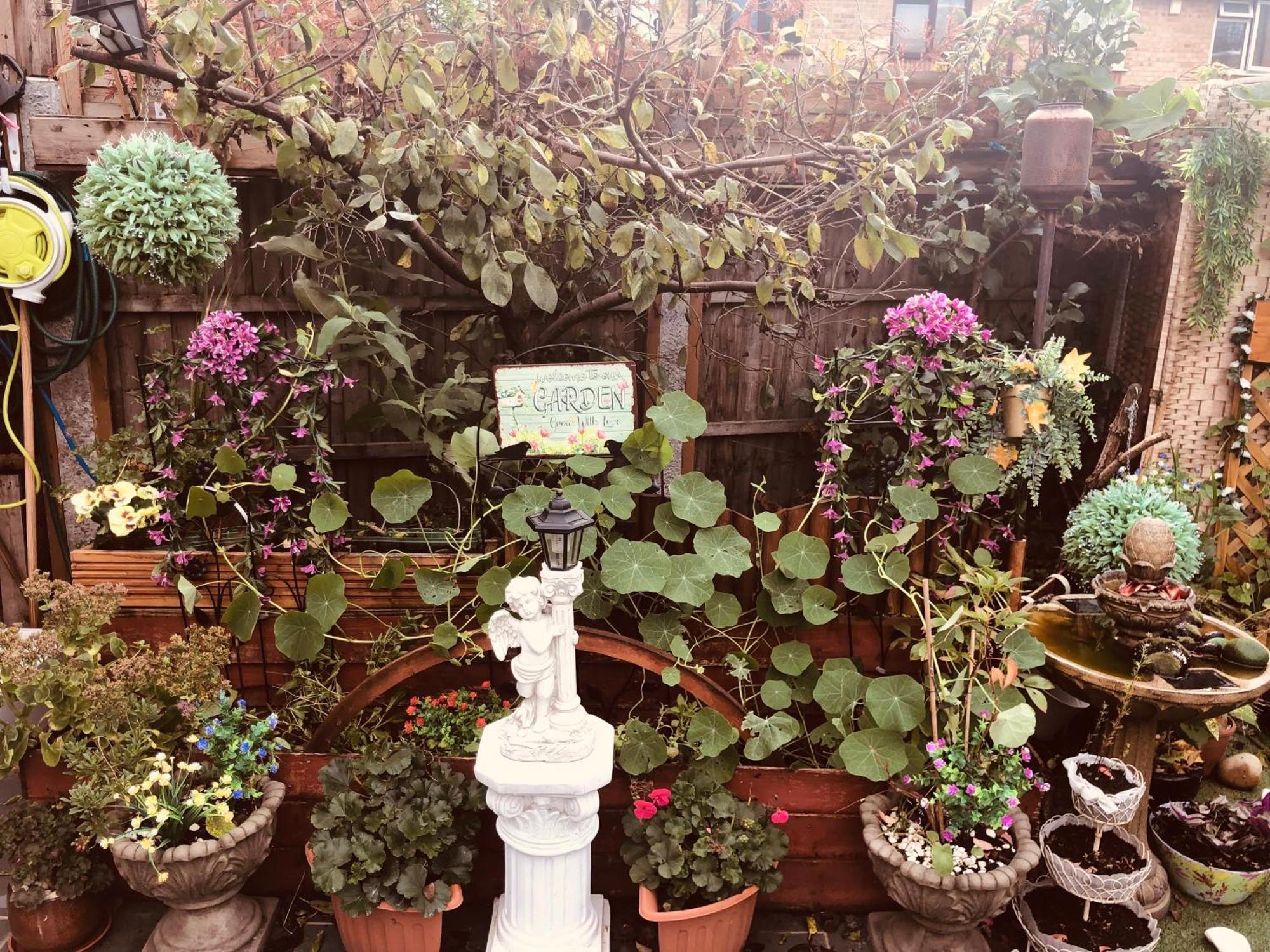 Cheerful 4 Bedroom House With Garden Free Parking London Exteriör bild